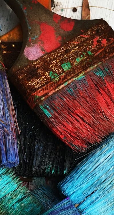 Plant, fruit, flower or vegetable: Cut flower seeds