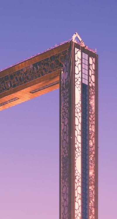 Plant, fruit, flower or vegetable: None mentioned