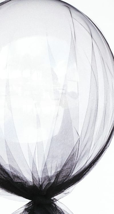 Plant, fruit, flower, or vegetable: Bean