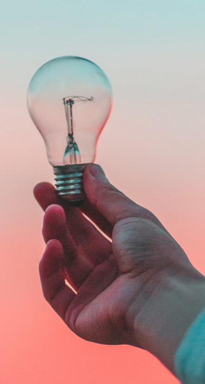 Plant, fruit, flower or vegetable: Biennial flowers