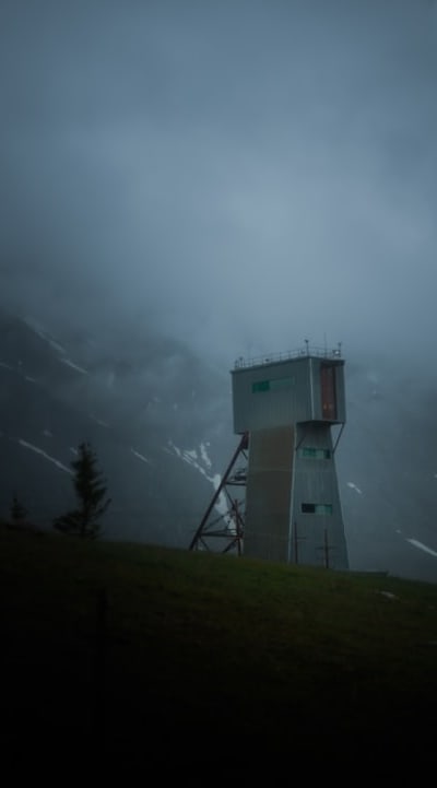 Plants, fruits, flowers or vegetables mentioned: Fruit seeds, Vermiculite, Sand