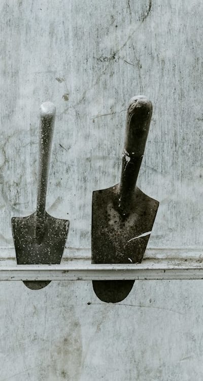 Monitoring temperature is vital for seedling growth.