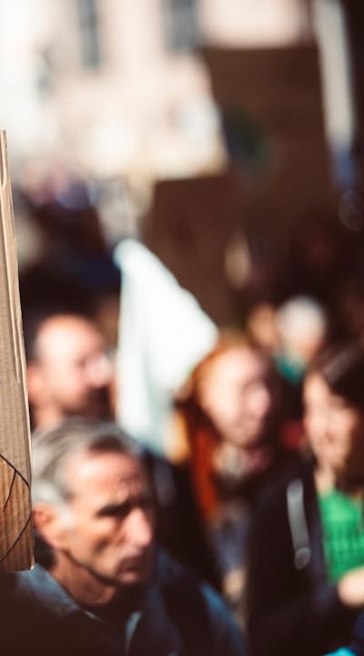 Forced bulbs thrive in moderate temperature and humidity