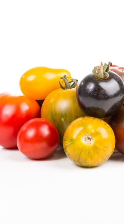 Alt text: Close-up of a tomato leaf with dark concentric rings.