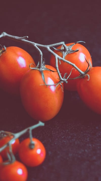 Airtight container for storing tomato seeds
