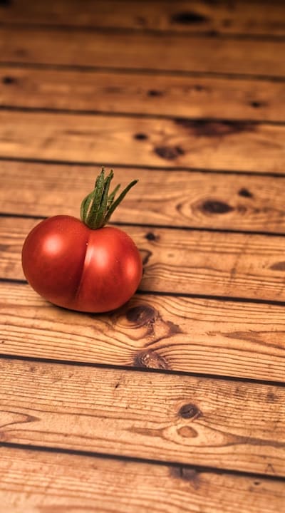 Reviving wilting tomato seedlings for healthy growth