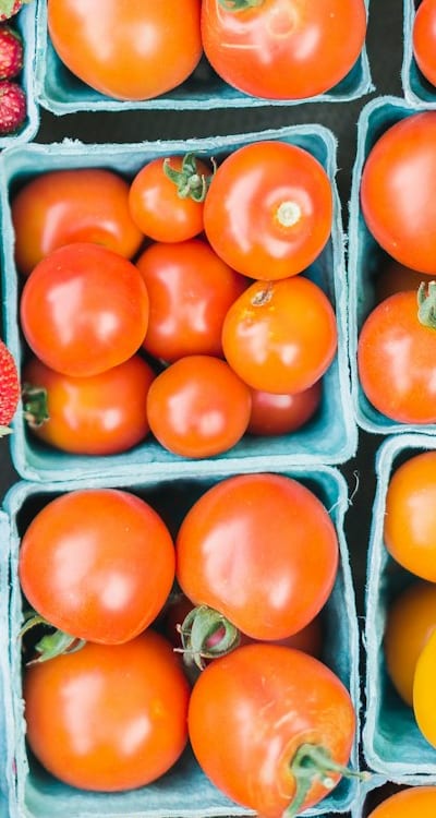 Good gardening practices for healthy tomato seedlings