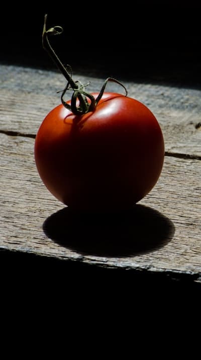 Tomato seeds can sprout in compost piles.