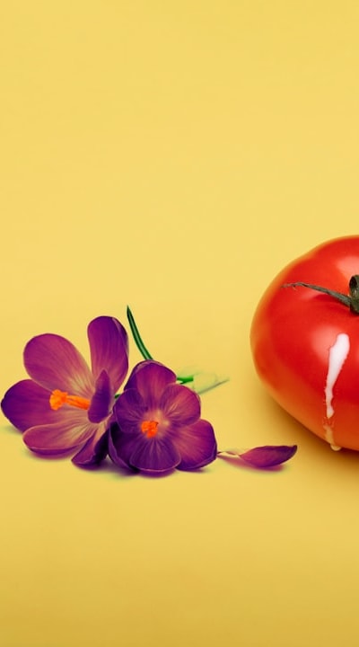 Collection of tomato seeds for organic gardening