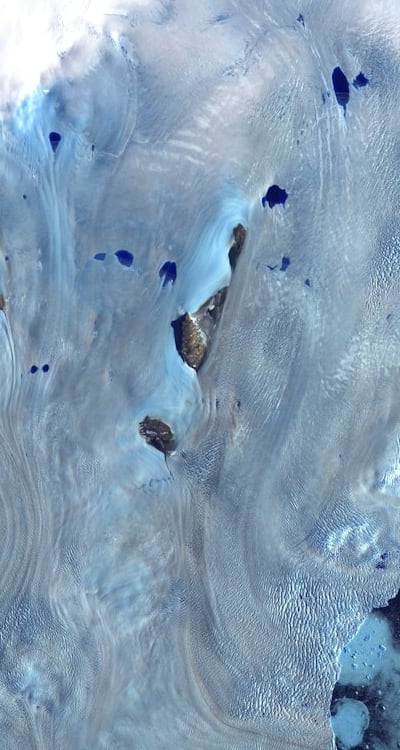 Choosing the Right Tomato Variety for Your Climate