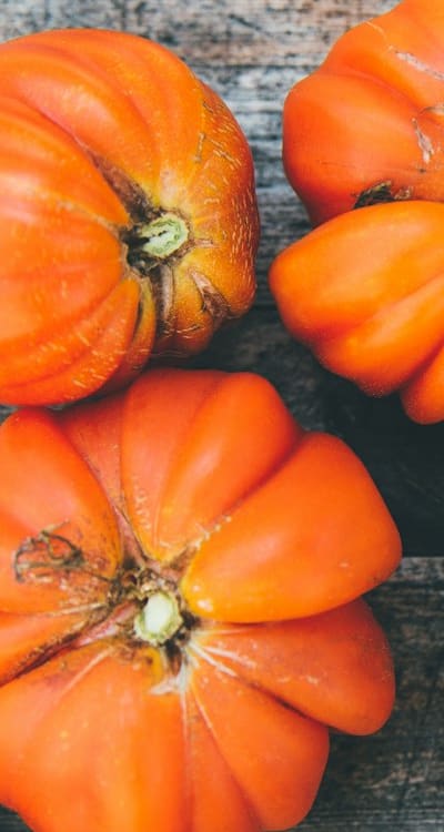 Timing is crucial for successful tomato seed germination.