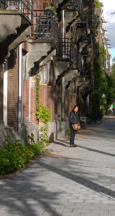A vibrant cottage garden bursting with shade-loving flowers.
