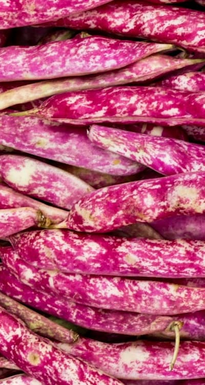 Paper towel-wrapped leafy greens stored in refrigerator.