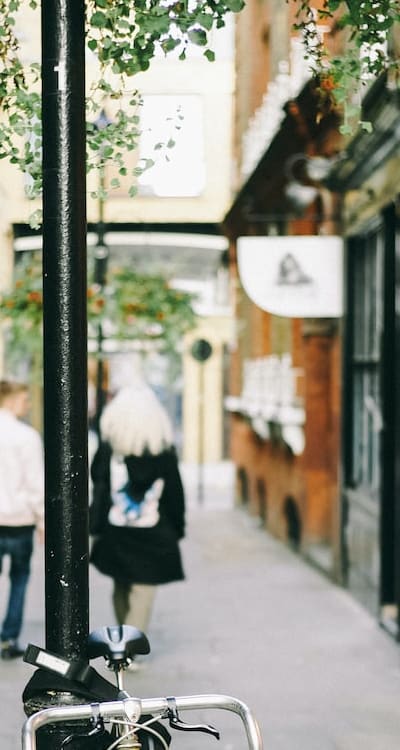 Pruning vines for healthy growth and abundant flowers