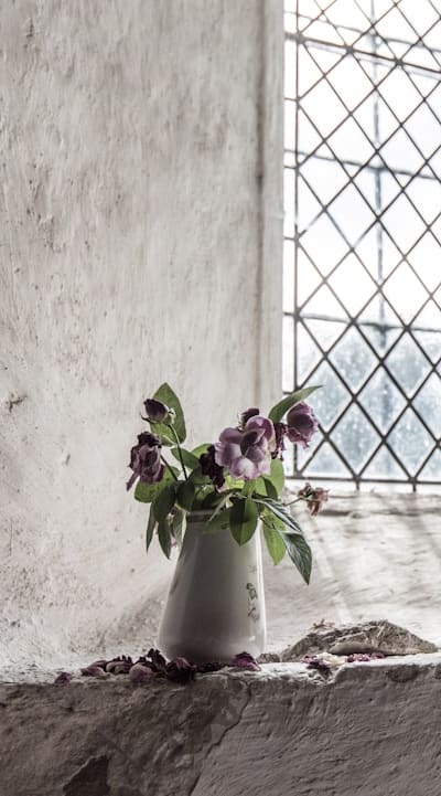 Alt text: Lush and vibrant vine plants in a garden.