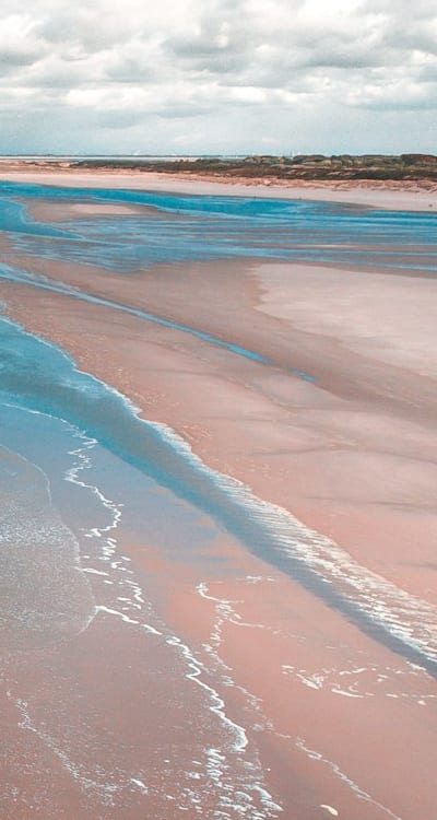 Watering seeds for successful germination and growth