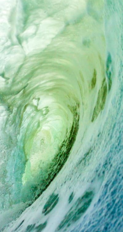 Watering and caring for a flourishing cottage garden.