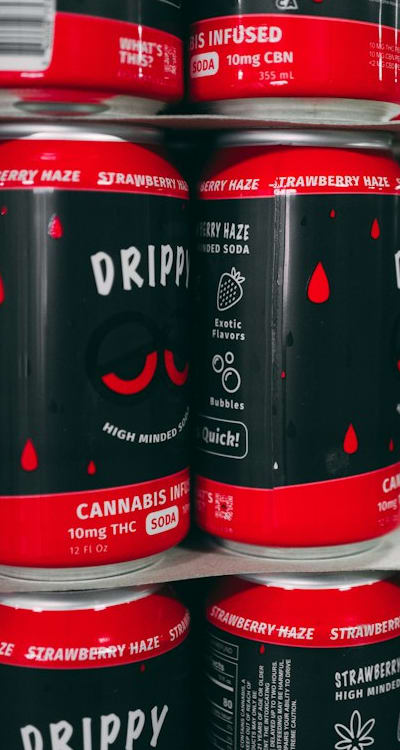 Proper watering techniques for indoor herb seedlings.