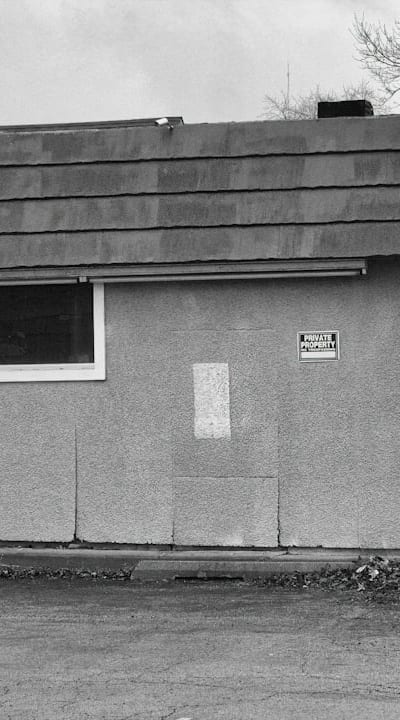 For a weed-free garden, protect your leeks with mulch.