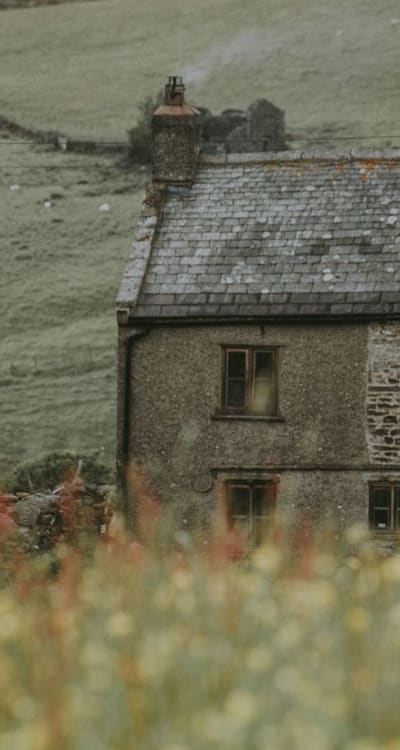 A guide to successful wildflower seed scarification.