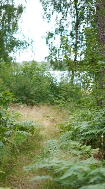 Handheld bouquets of freshly picked wildflowers.