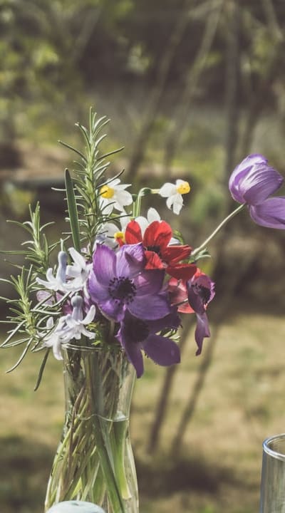 Pollinator-friendly wildflowers attract bees and butterflies