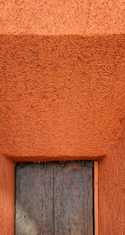 Proper watering and sunlight are essential for herb seedlings.