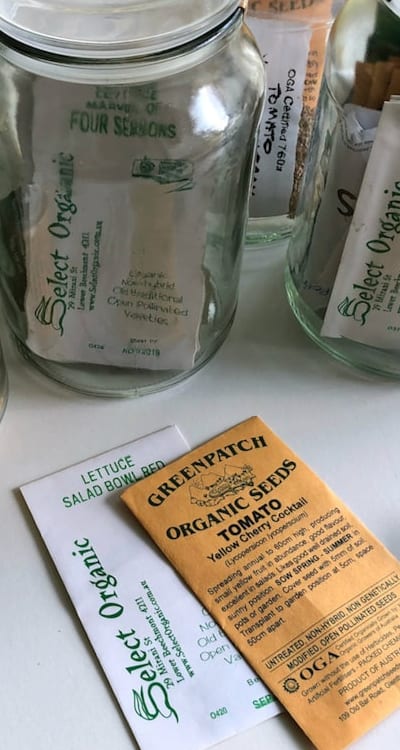 Guidance for successful zinnia seedling growth