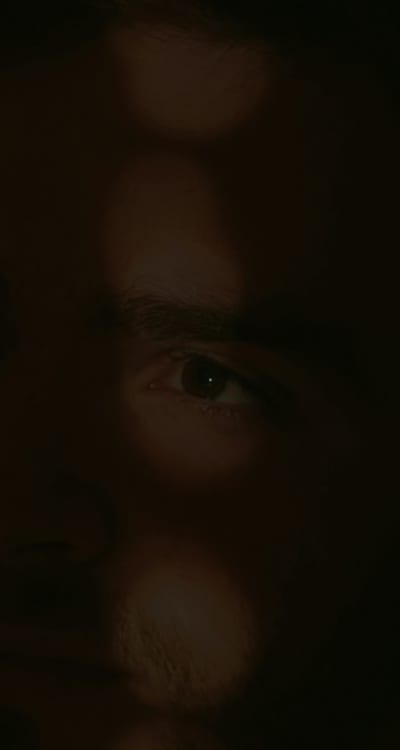 Varieties of zucchini: Black Beauty, Golden Zucchini, Eight Ball