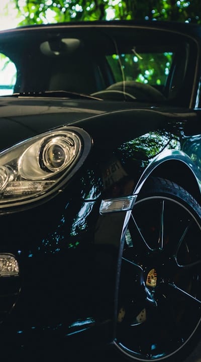 Checking soil moisture to determine watering frequency.