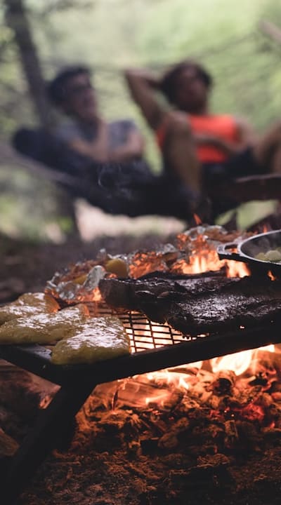 Watering zucchini seedlings for healthy growth and development