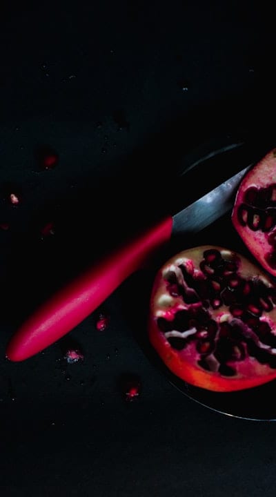 Successful zucchini seed germination tips and troubleshooting advice