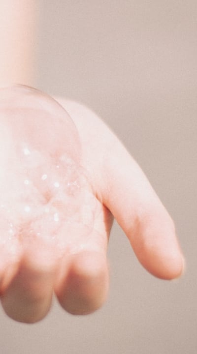 Secateurs, Gloves, Disinfectant, Loppers, Pruning Saw