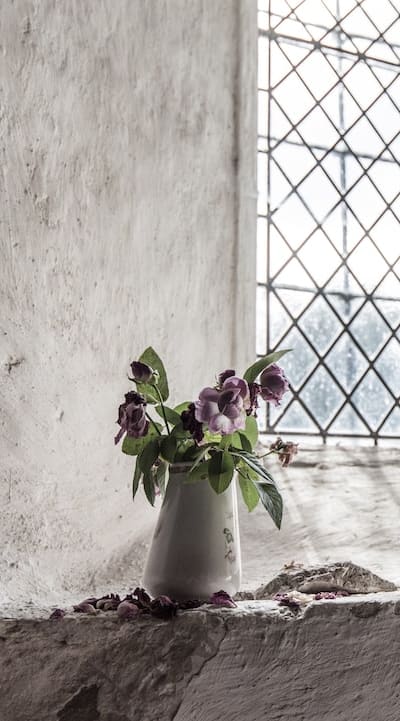 Shade-loving flowers can thrive in limited sunlight.