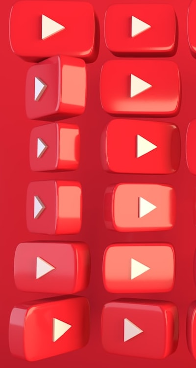 Flowers, Sunlight, Soi