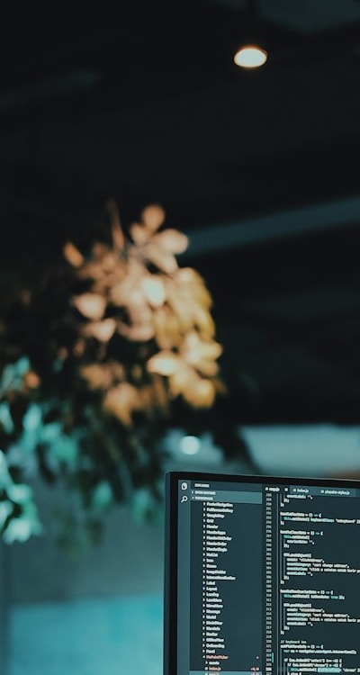 Tags: Perennial flowers, Black-Eyed Susan