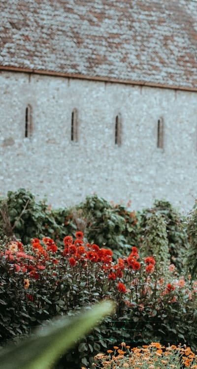 Tangible object: Row covers