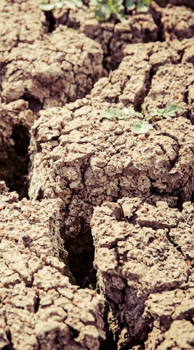 Tangible object: Container (mesh bag, wooden crate, cardboard box)