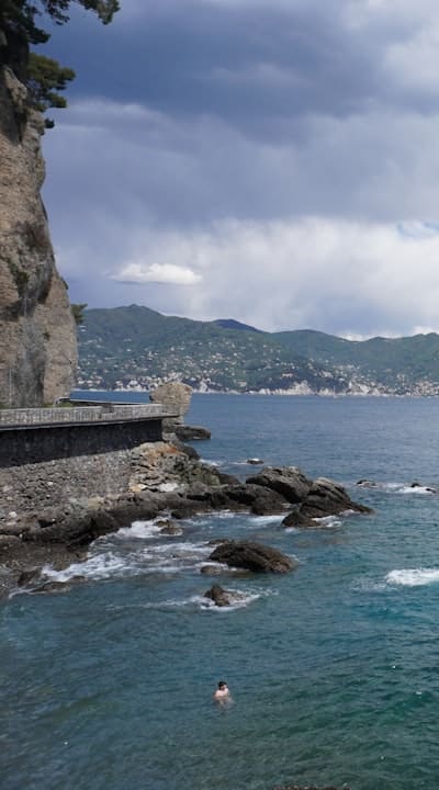 Tangible object: Seeds