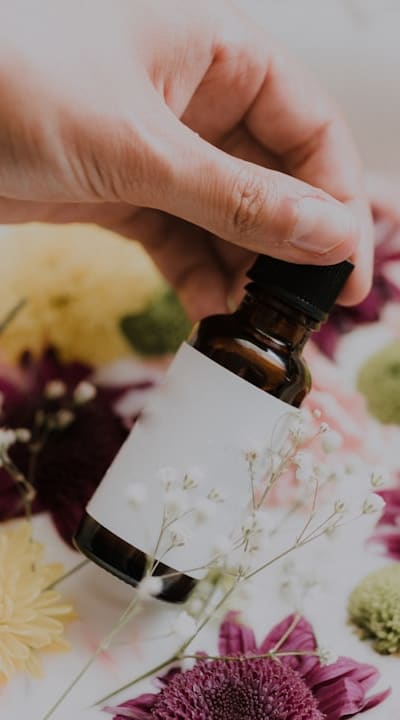 Tangible object: Plant pot