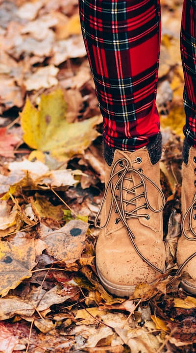 Tangible object: Bulbs