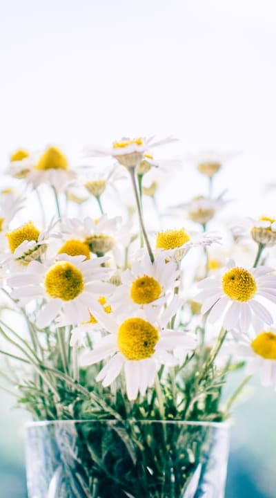 Tangible object: Garden bed