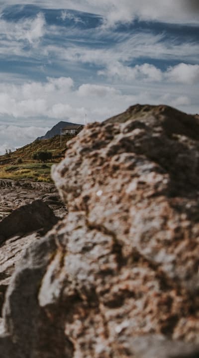 Treatment options: Neem oil and copper-based fungicides