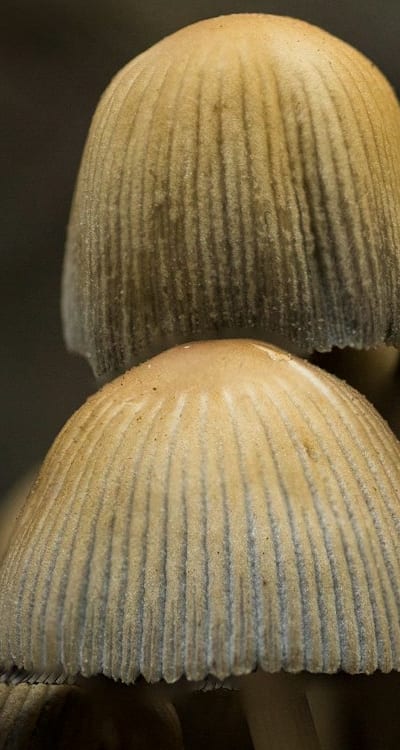 Tangible object: Drying rack