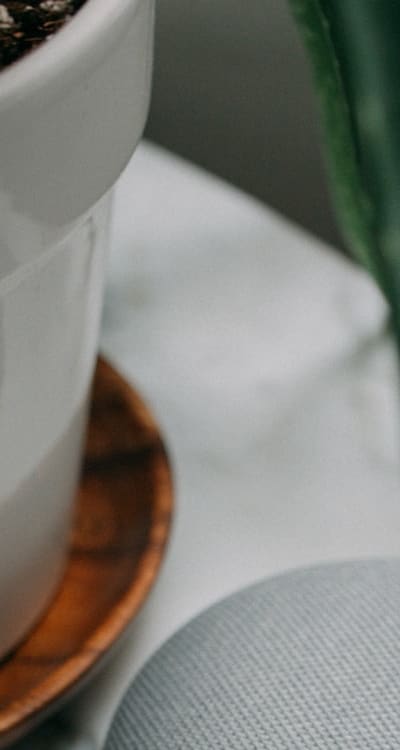 Tangible object: Seeds