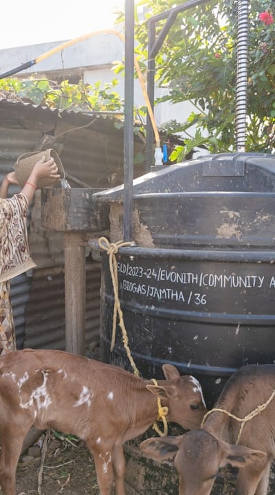 Tangible object: Watering can