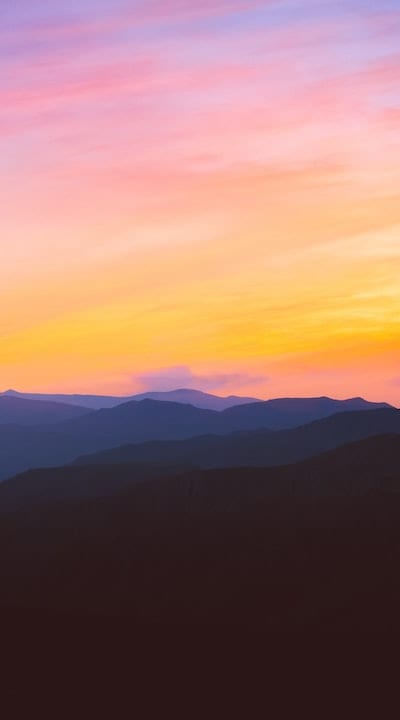 Tangible object: Mulch, Plants