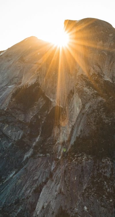 Zucchini, Seed trays, Artificial light, Germination, Seedlings