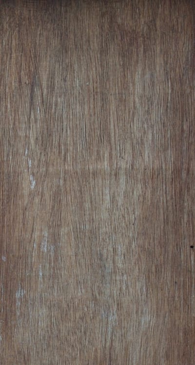 Squash seeds, Seed trays or seedling pots