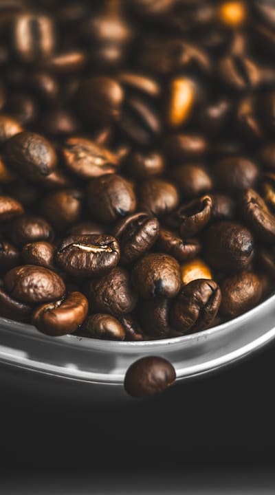 Alt text: A bag of organic fertilizer for beans